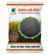 Sunflower Indo US 999 - 250 grams